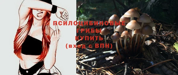 МДПВ Алексеевка