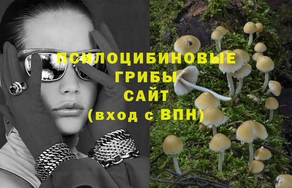 МДПВ Алексеевка